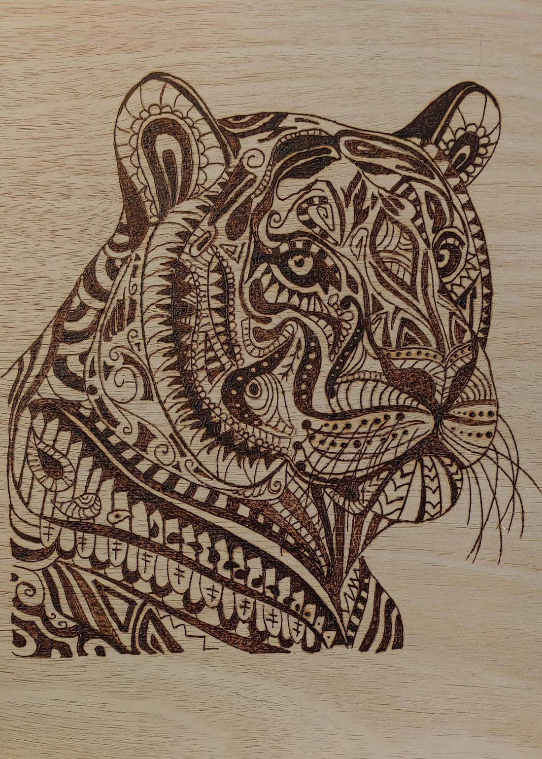 Big cat
