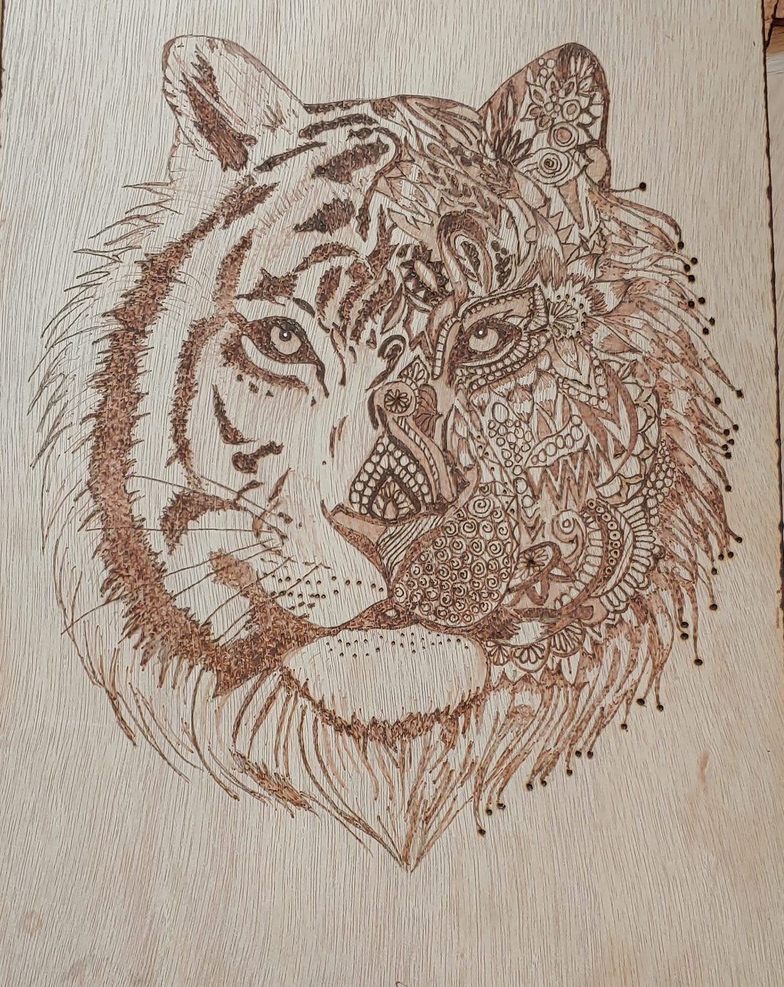 Lion