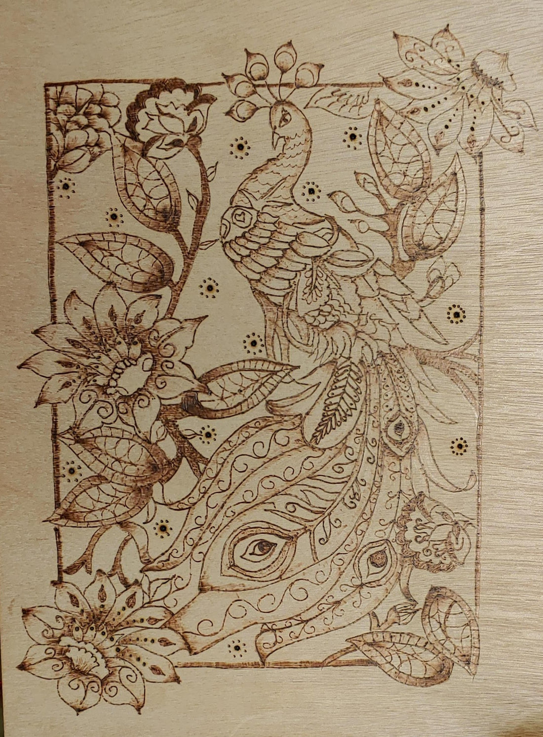 Peacock