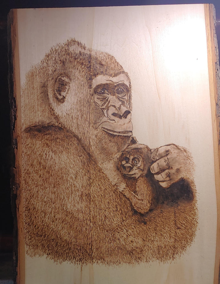 Gorillas
