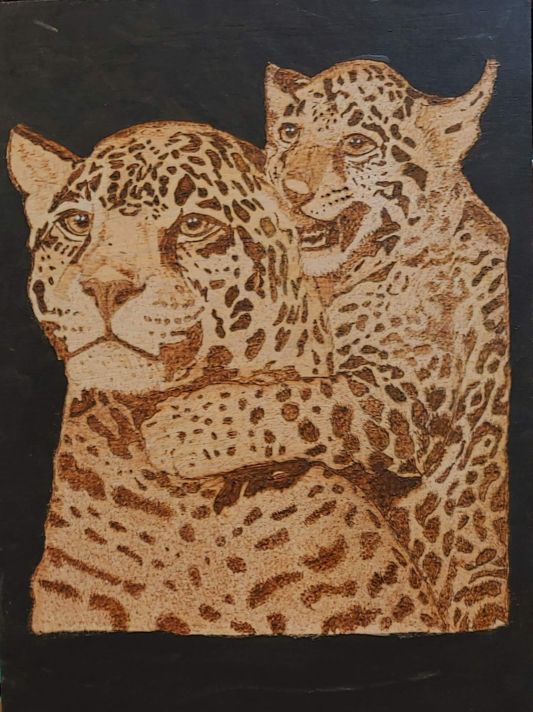 Playful leopard
