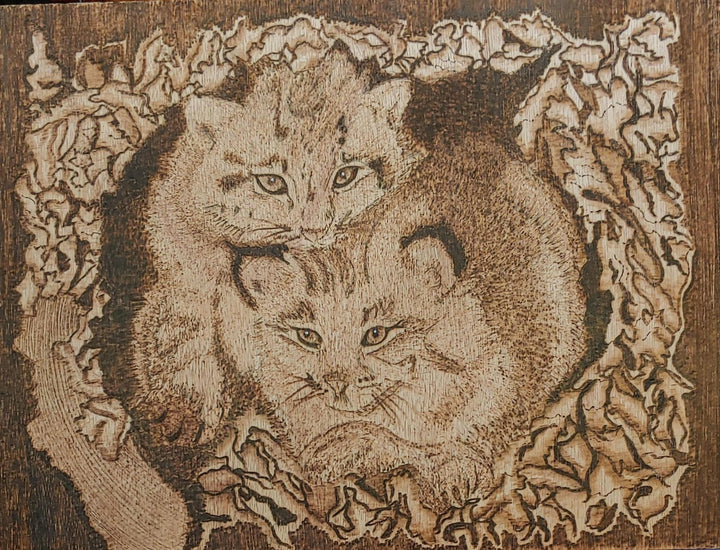 Kittens