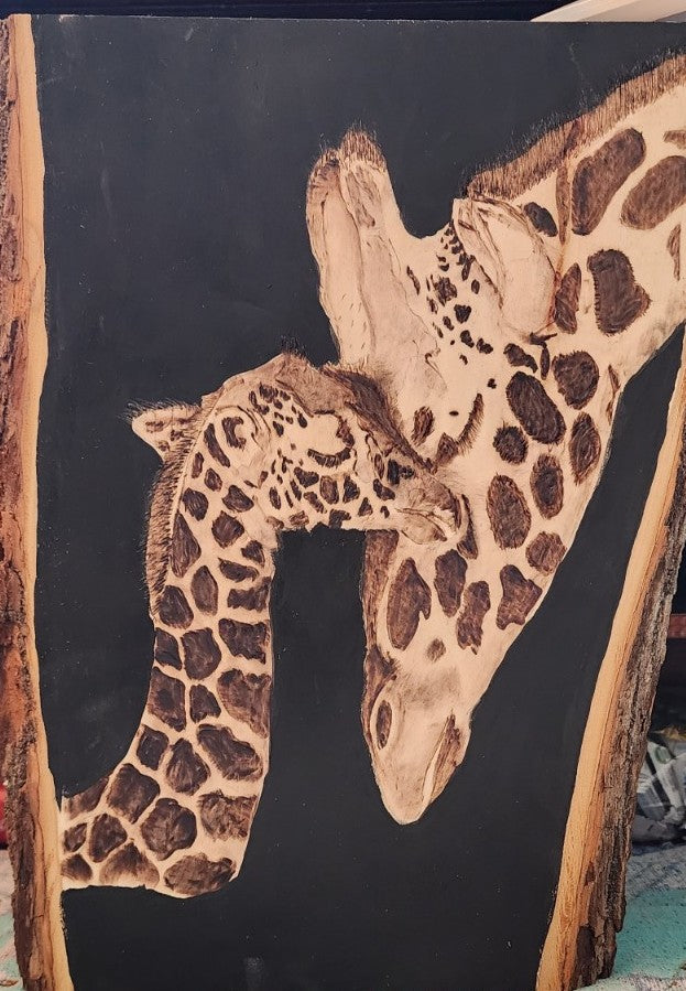 Giraffes