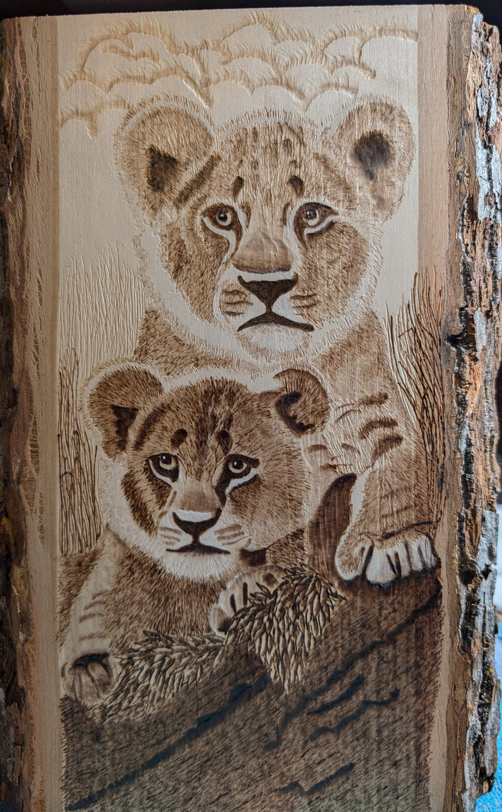 Baby tigers