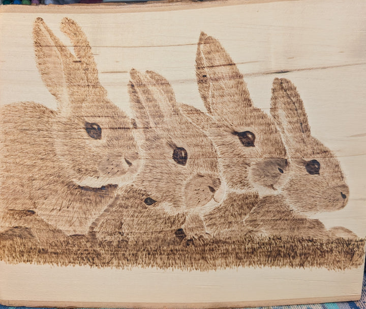 Bunnies